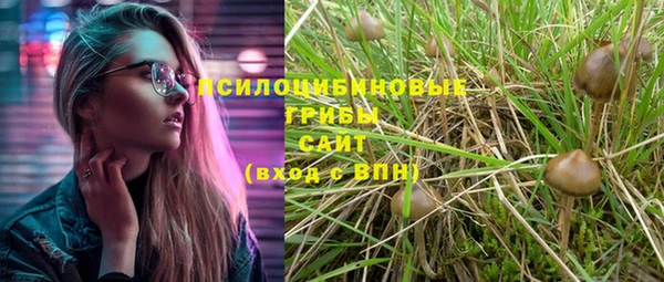 apvp Абдулино