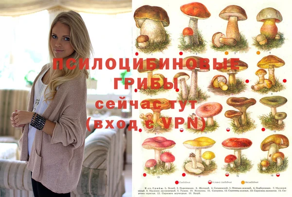 кокаин VHQ Алексеевка