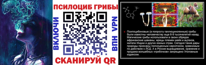 закладки  Удачный  Галлюциногенные грибы GOLDEN TEACHER 