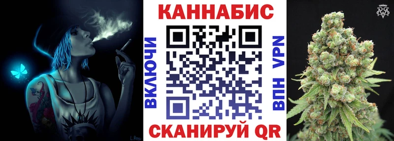 Каннабис сатива  Удачный 